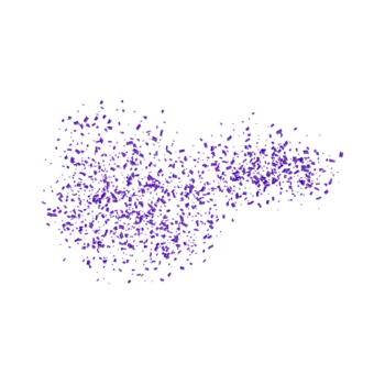 Slowfall Confetti Paper 1kg - Purple
