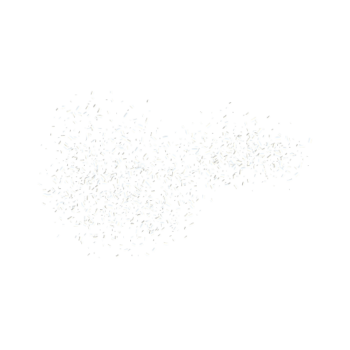 Slowfall Confetti Paper 1kg - White
